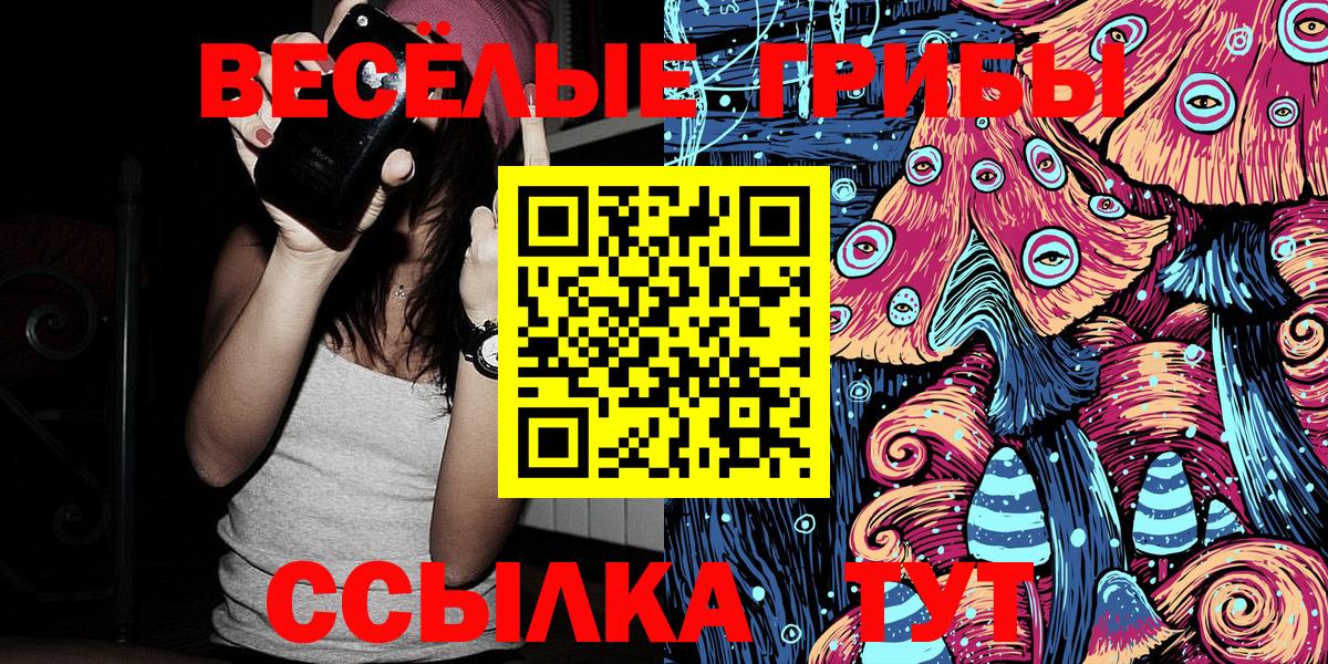 Псилоцибиновые грибы мицелий Асино