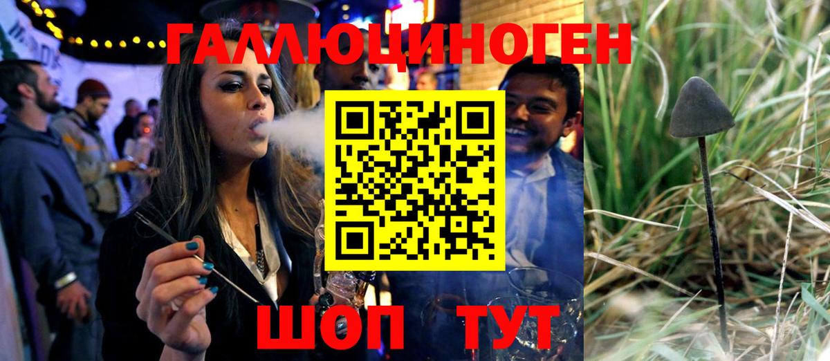 Асино  купить   Псилоцибиновые грибы GOLDEN TEACHER  Вход с VPN  Галлюциногенные грибы мухоморы 